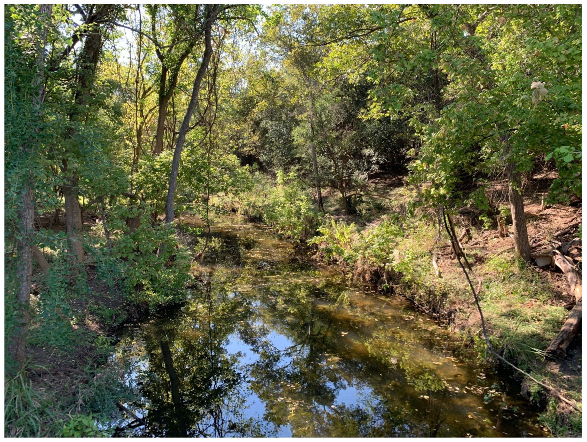 Land 12 01137 g0a10 Land 12 01137 g0a10