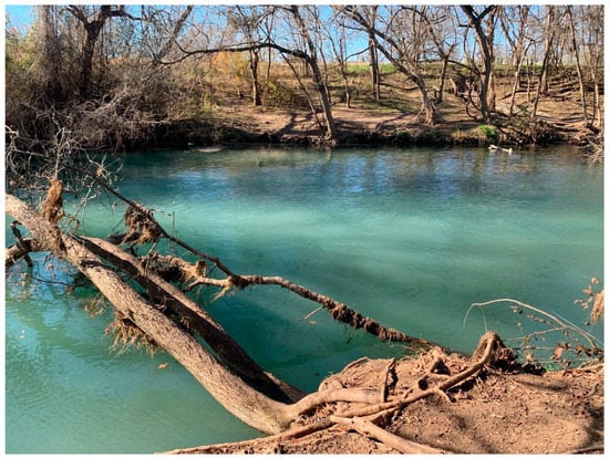 Here's why foam rises at The Concho River when it rains