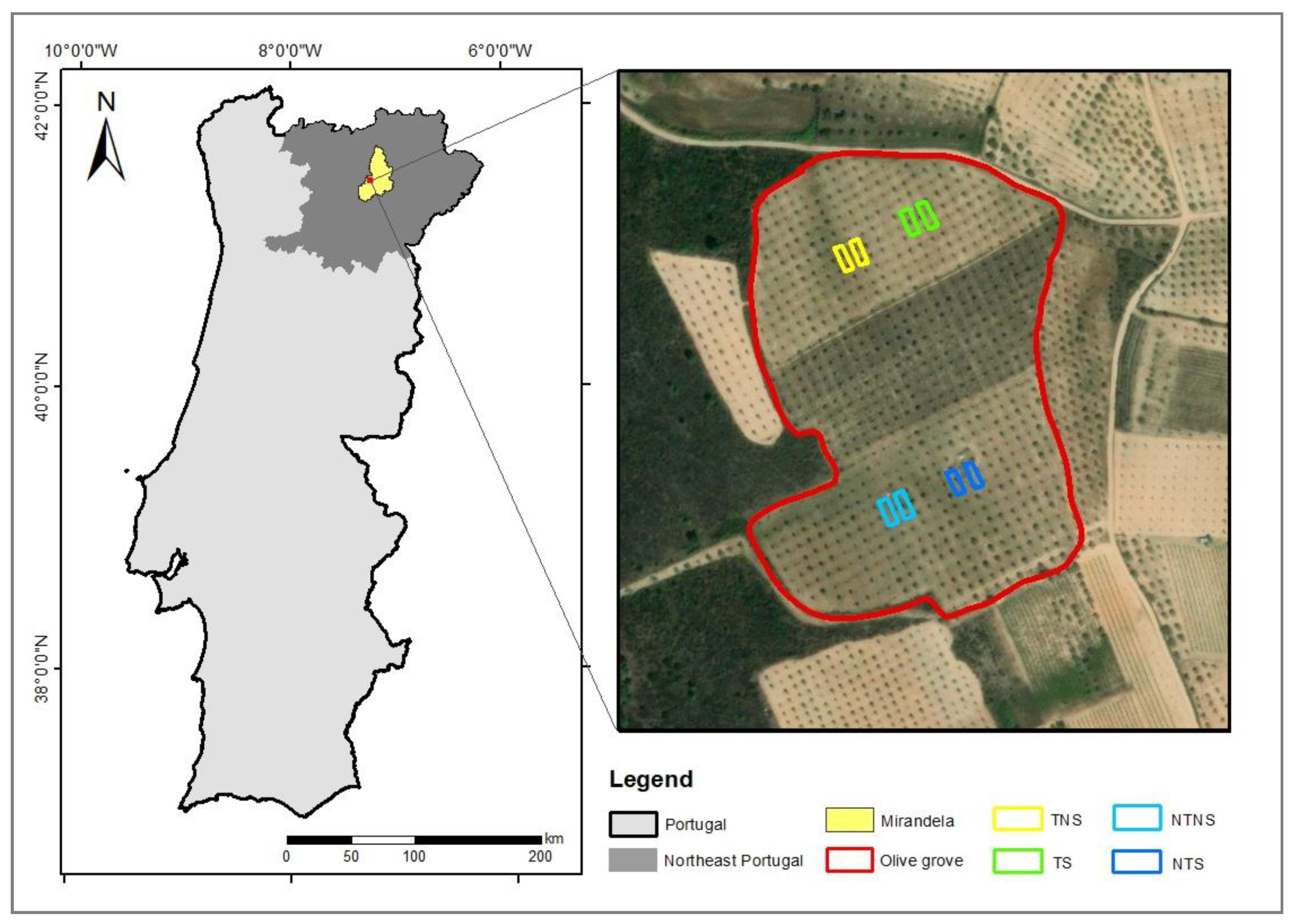 Control Olive Performance in | Free Full-Text Soil in | Groves: Land NE Erosion A Study Experimental Management of Field Improved Portugal