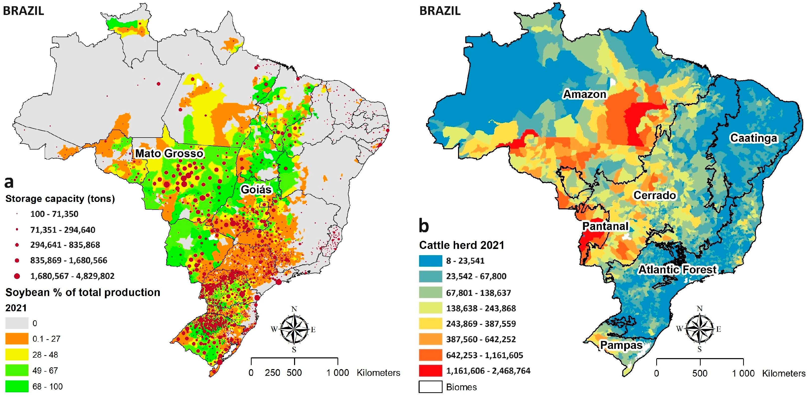 The Geography of the  - Brazil's miracle of biodiversity