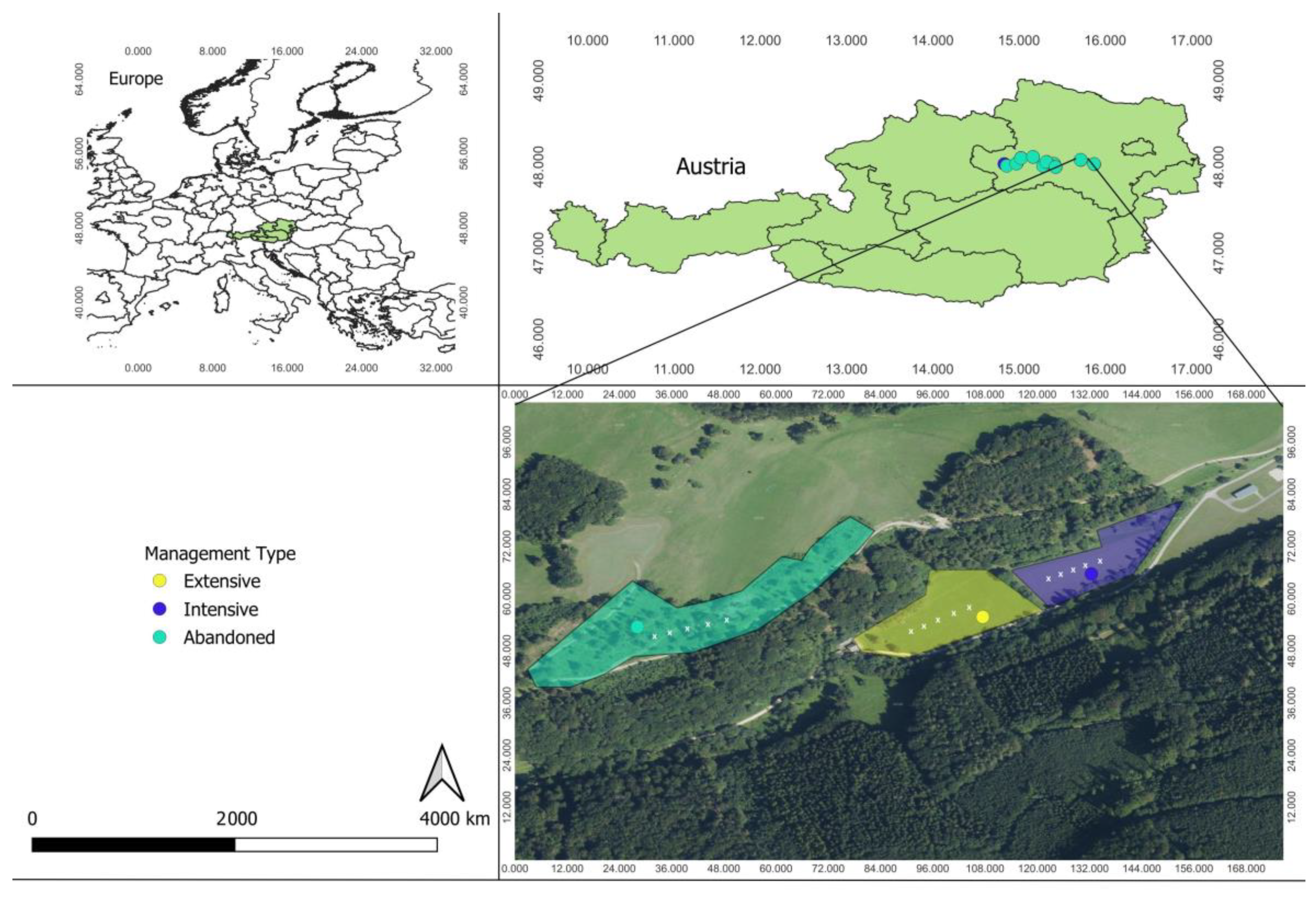 Land | Free Full-Text | Understanding the Dynamics of Sex-Specific  Responses Driven by Grassland Management: Using Syrphids as a Model Insect  Group