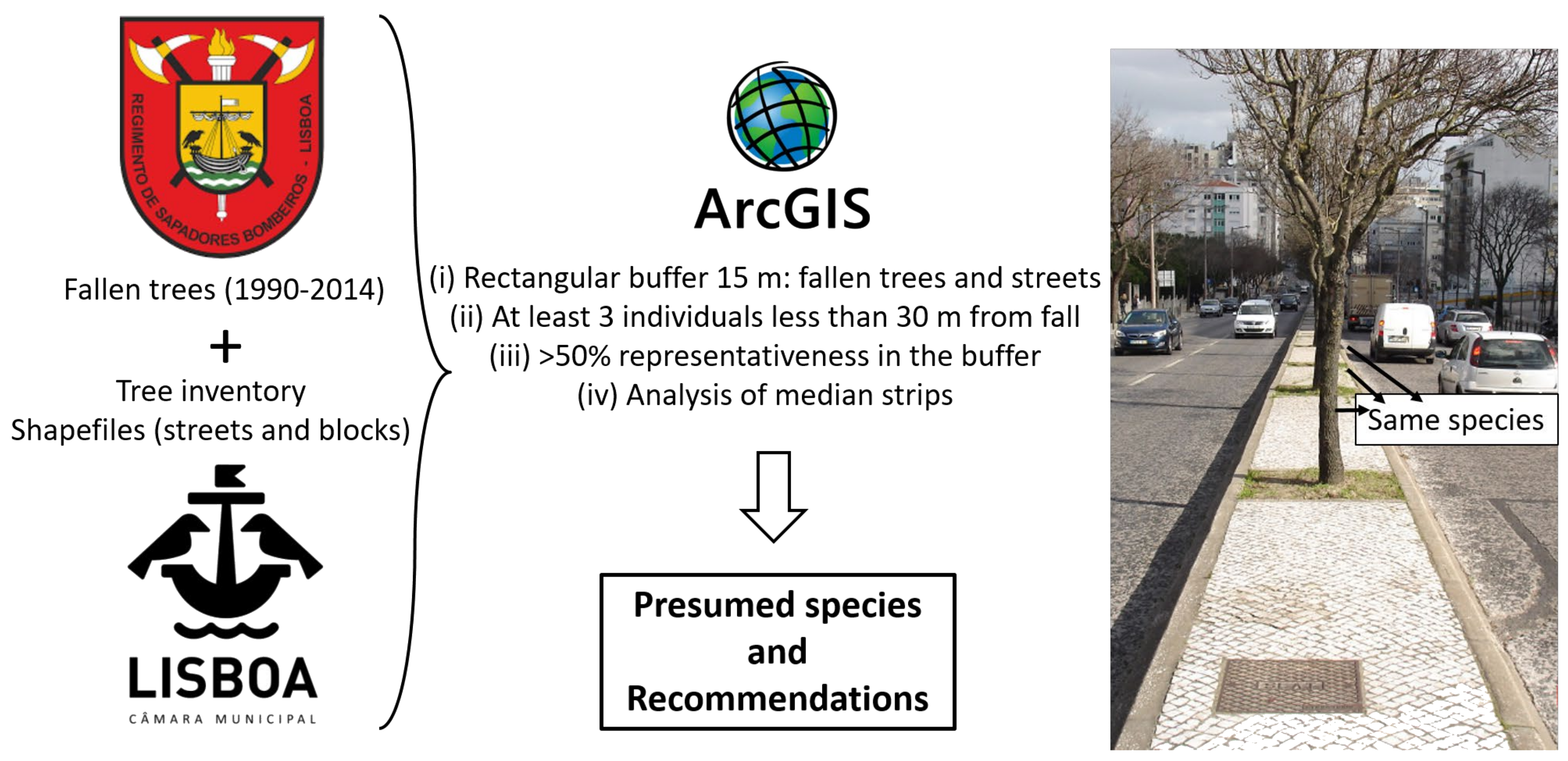 Land 13 00708 g003 Land 13 00708 g003