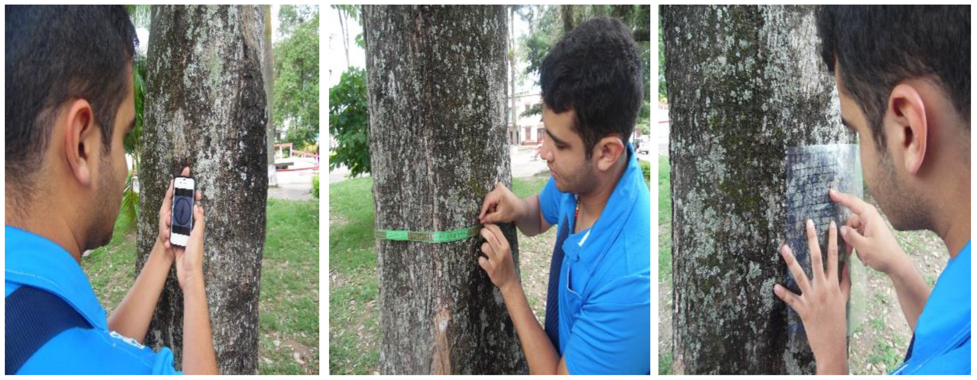 Land 13 00932 g003 Land 13 00932 g003