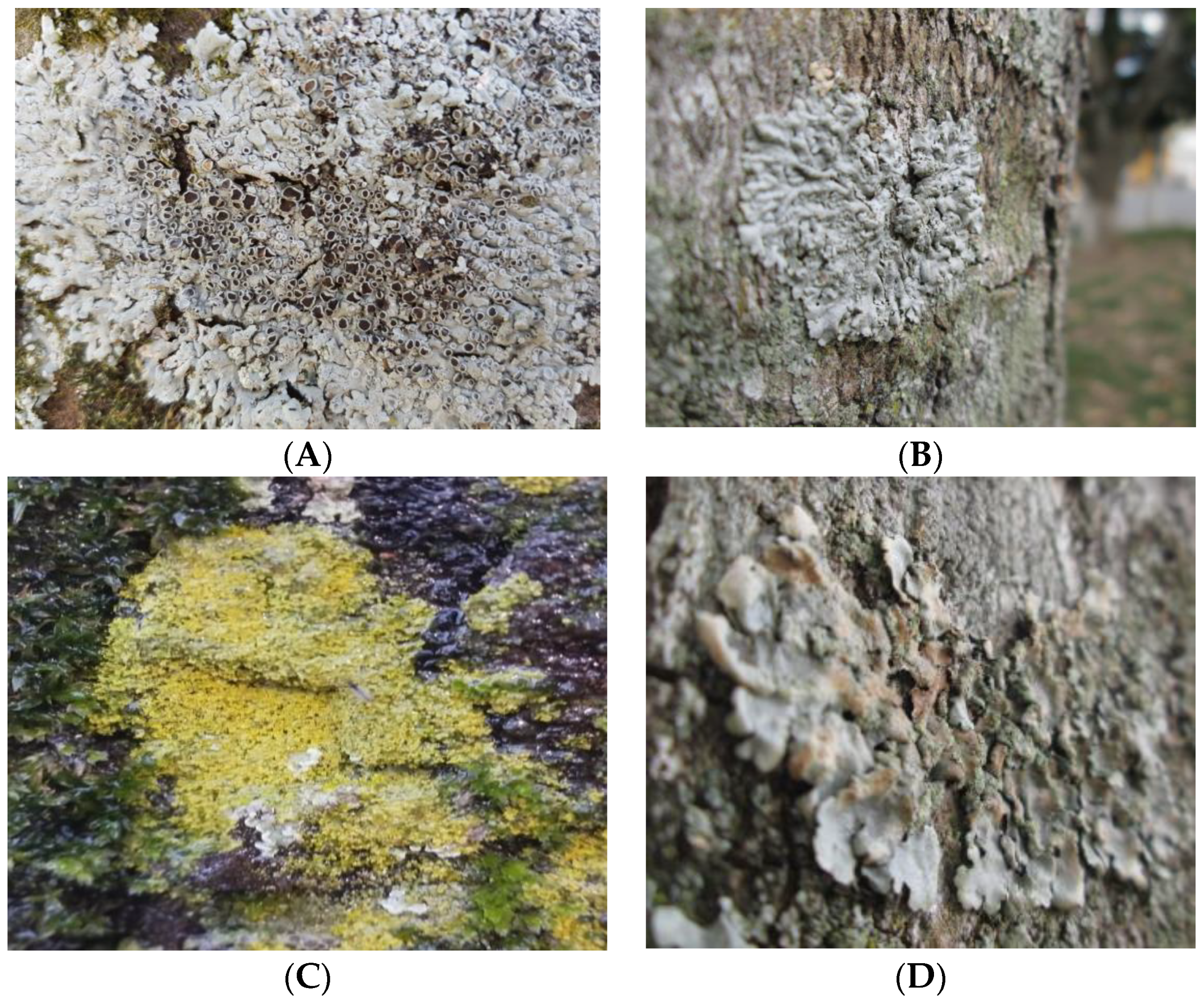 Land 13 00932 g004 Land 13 00932 g004