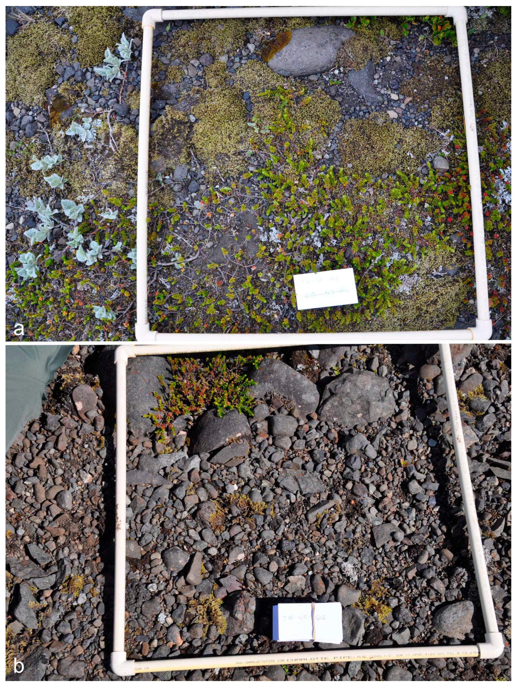 Land 13 01055 g005 Land 13 01055 g005