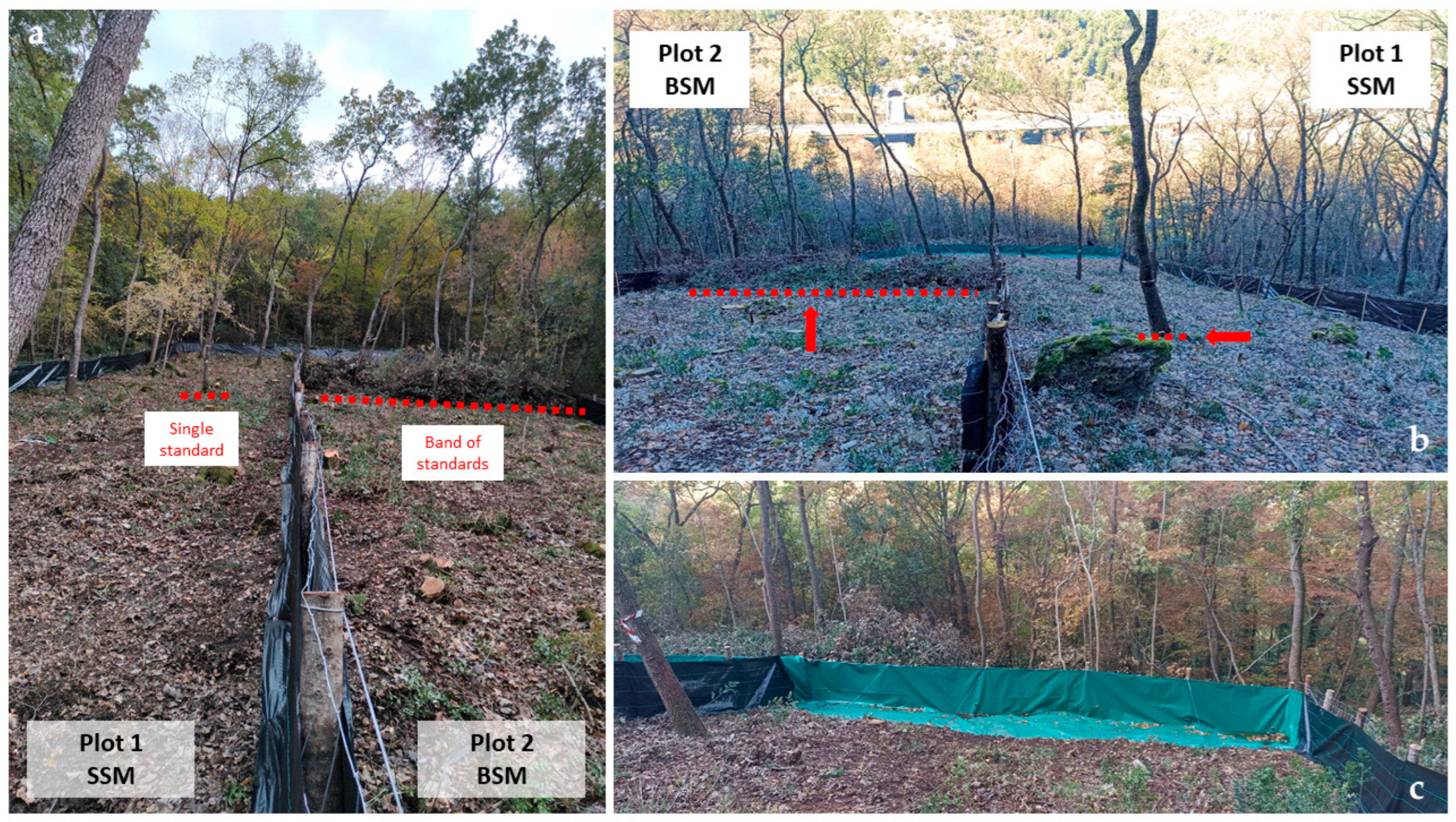 Land 13 01321 g003 Land 13 01321 g003