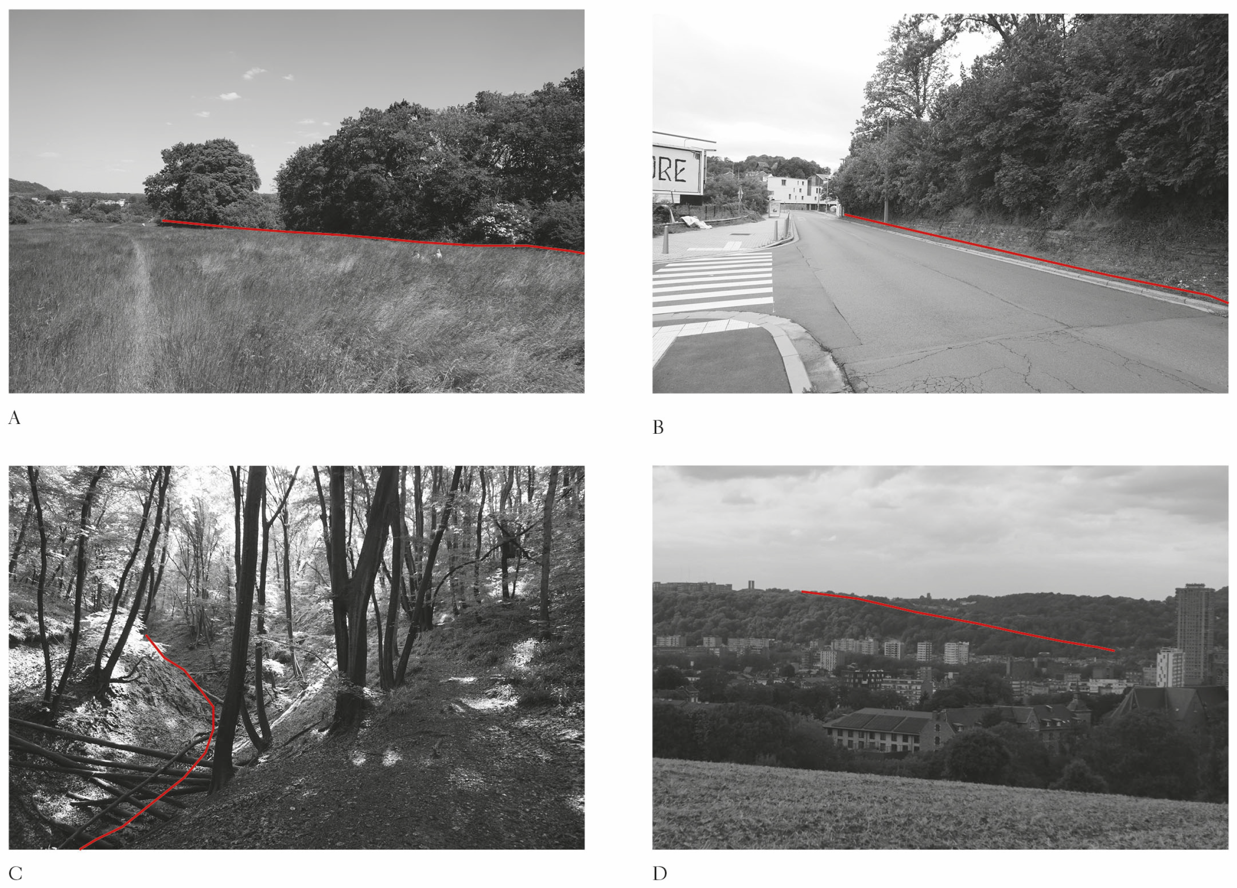 Land 13 01353 g003 Land 13 01353 g003