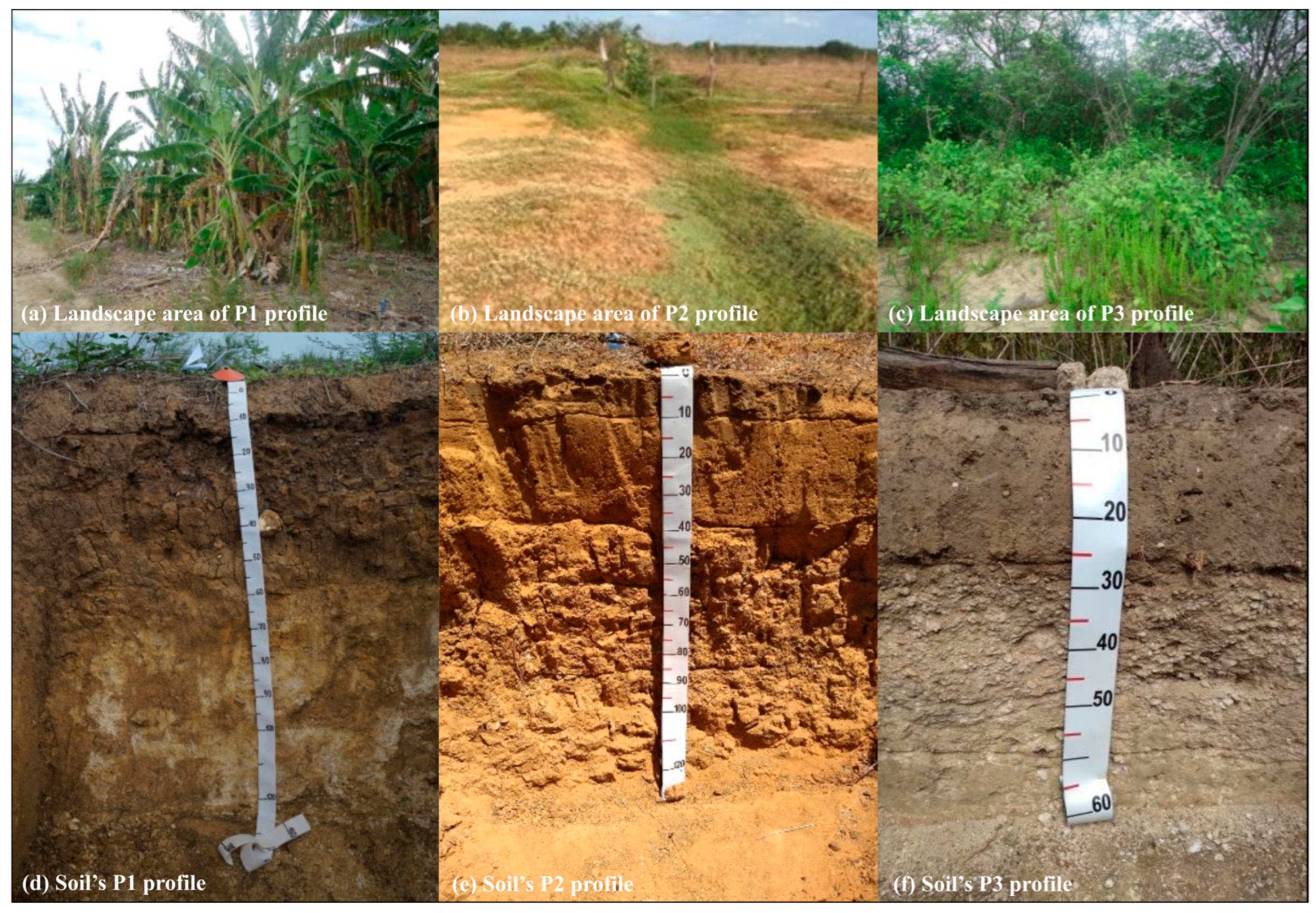 Land 13 01559 g002 Land 13 01559 g002