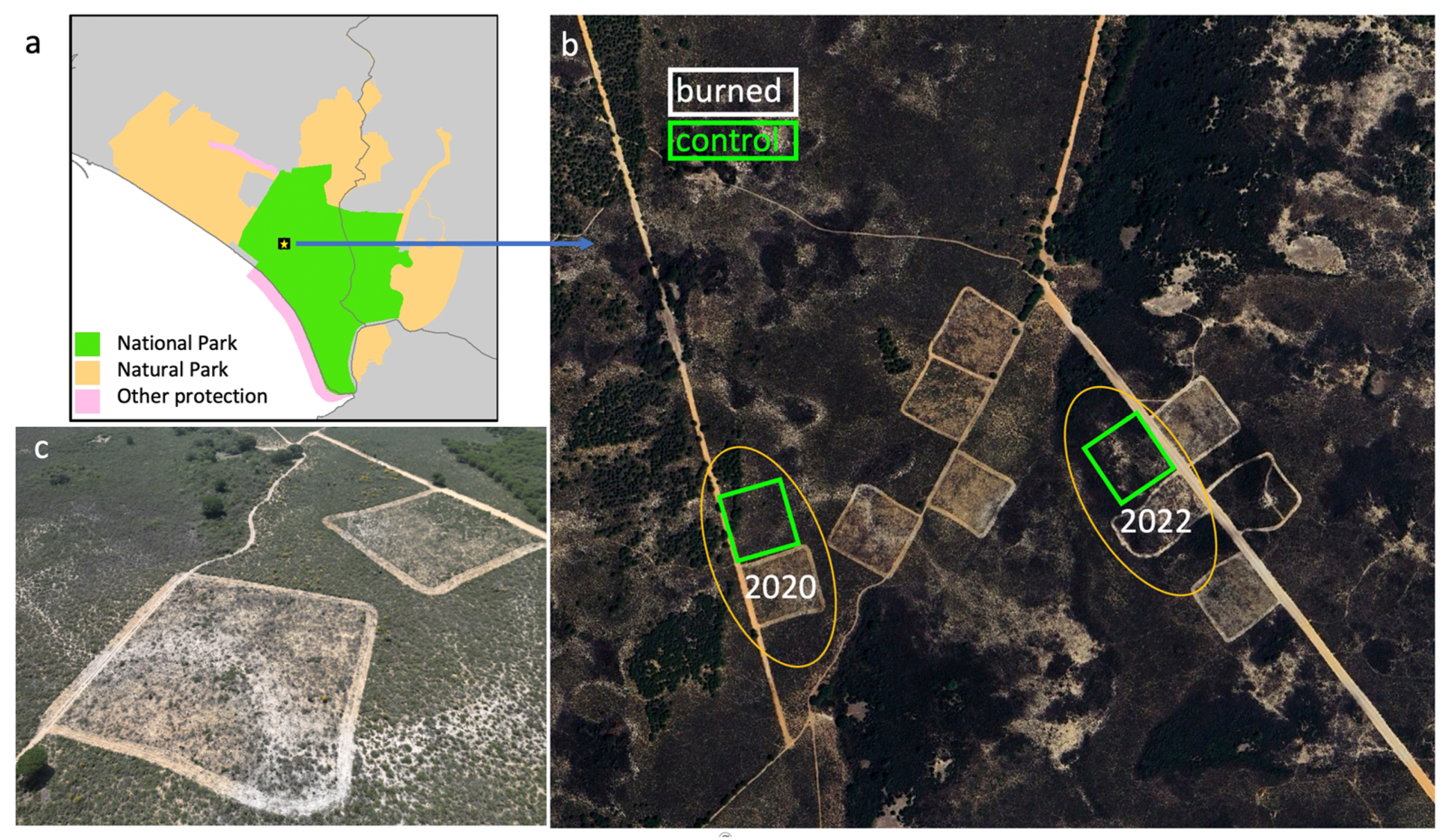 Land 13 01706 g001 Land 13 01706 g001