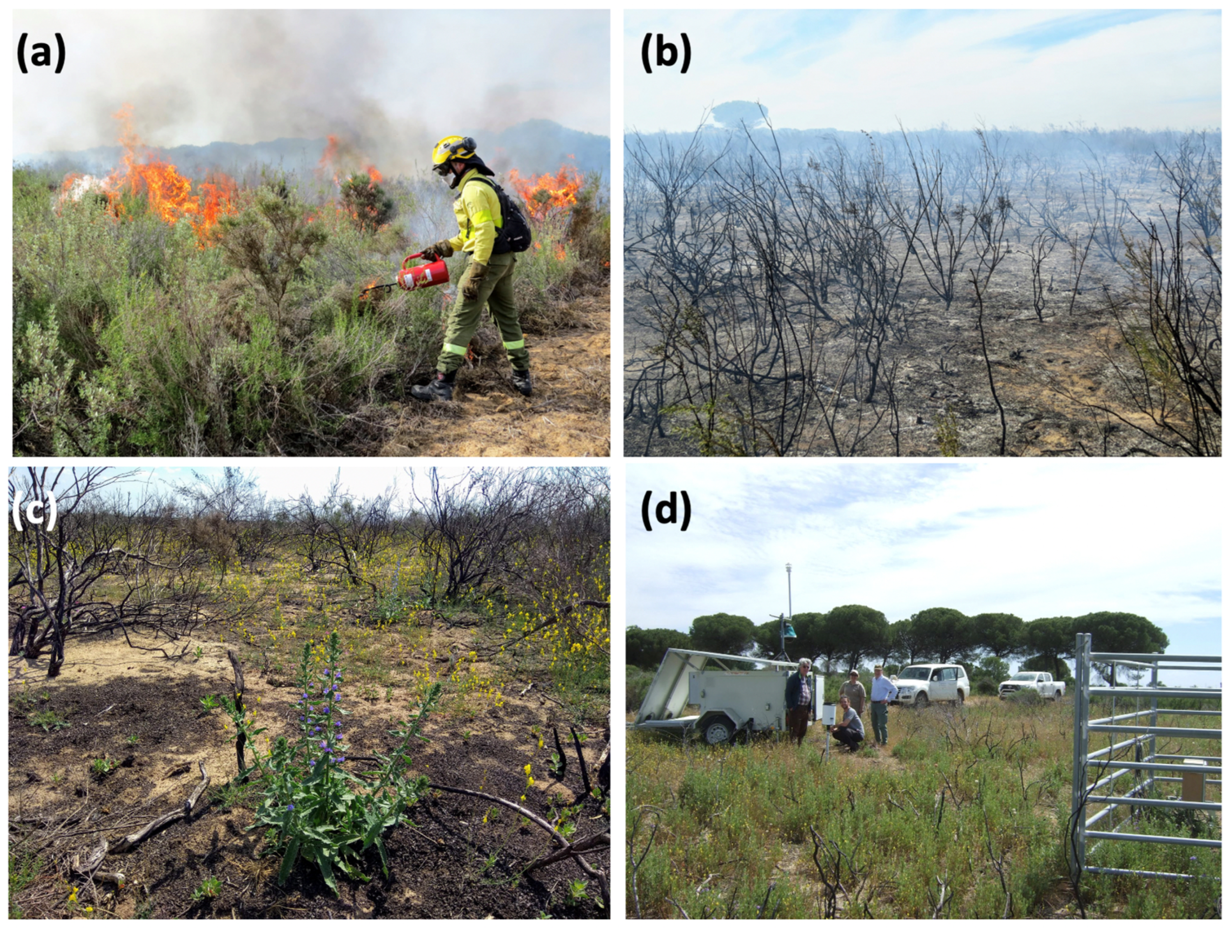 Land 13 01706 g002 Land 13 01706 g002