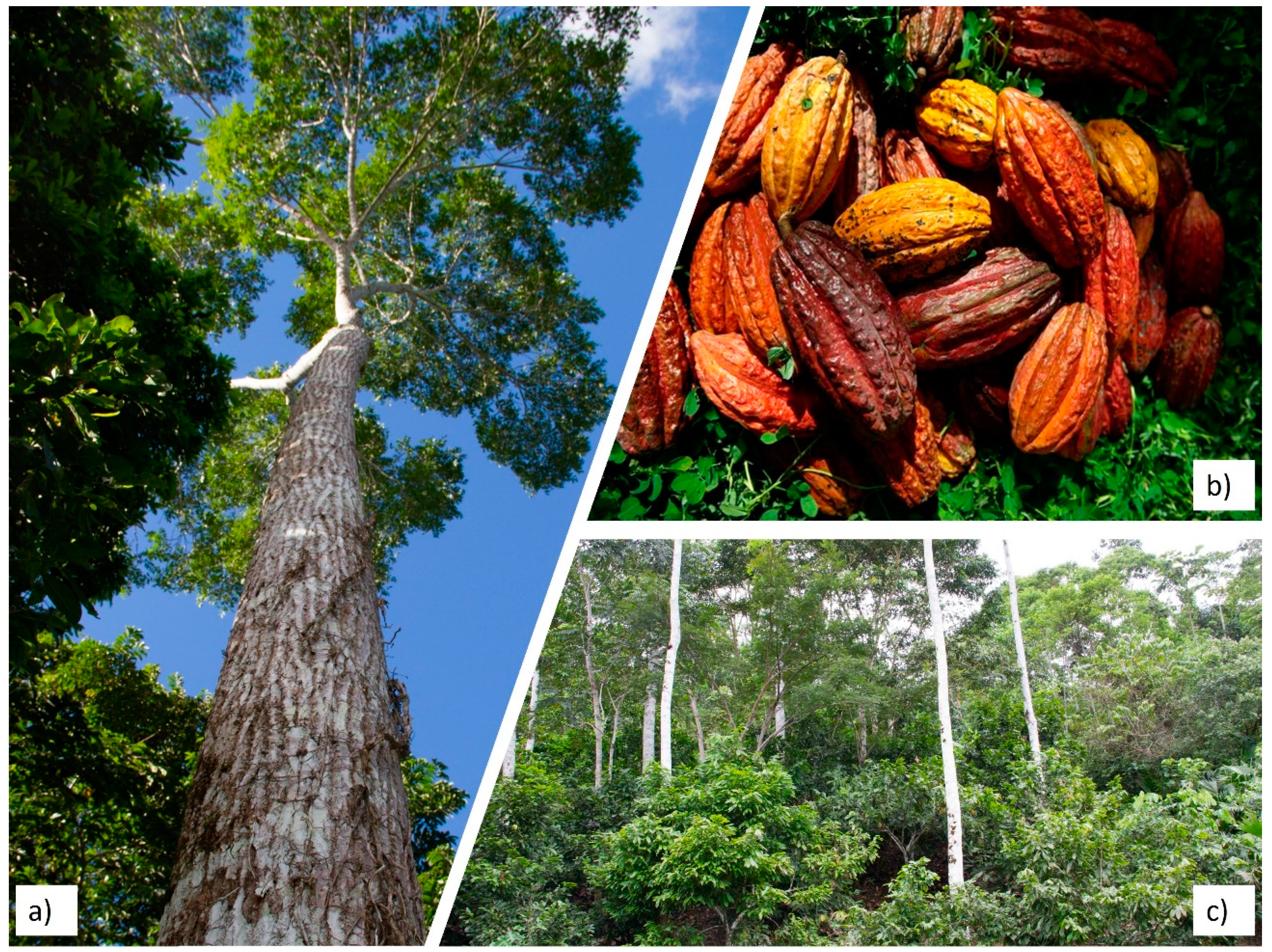 Land 13 02247 g002 Land 13 02247 g002