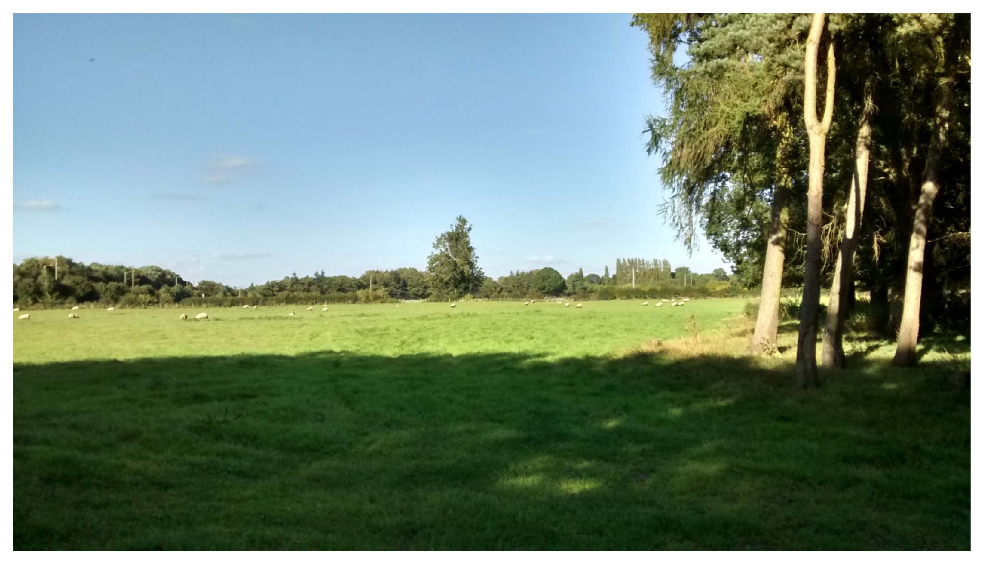 Land 14 00728 g008