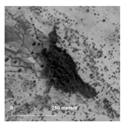 Land 14 01897 i011 Land 14 01897 i011