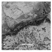 Land 14 01897 i012 Land 14 01897 i012