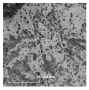 Land 14 01897 i014 Land 14 01897 i014