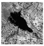 Land 14 01897 i021 Land 14 01897 i021