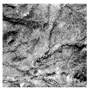 Land 14 01897 i023 Land 14 01897 i023