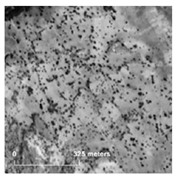 Land 14 01897 i024 Land 14 01897 i024