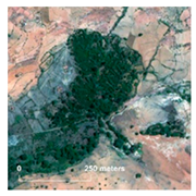 Land 14 01897 i031 Land 14 01897 i031