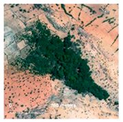 Land 14 01897 i032 Land 14 01897 i032