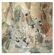 Land 14 01897 i039 Land 14 01897 i039