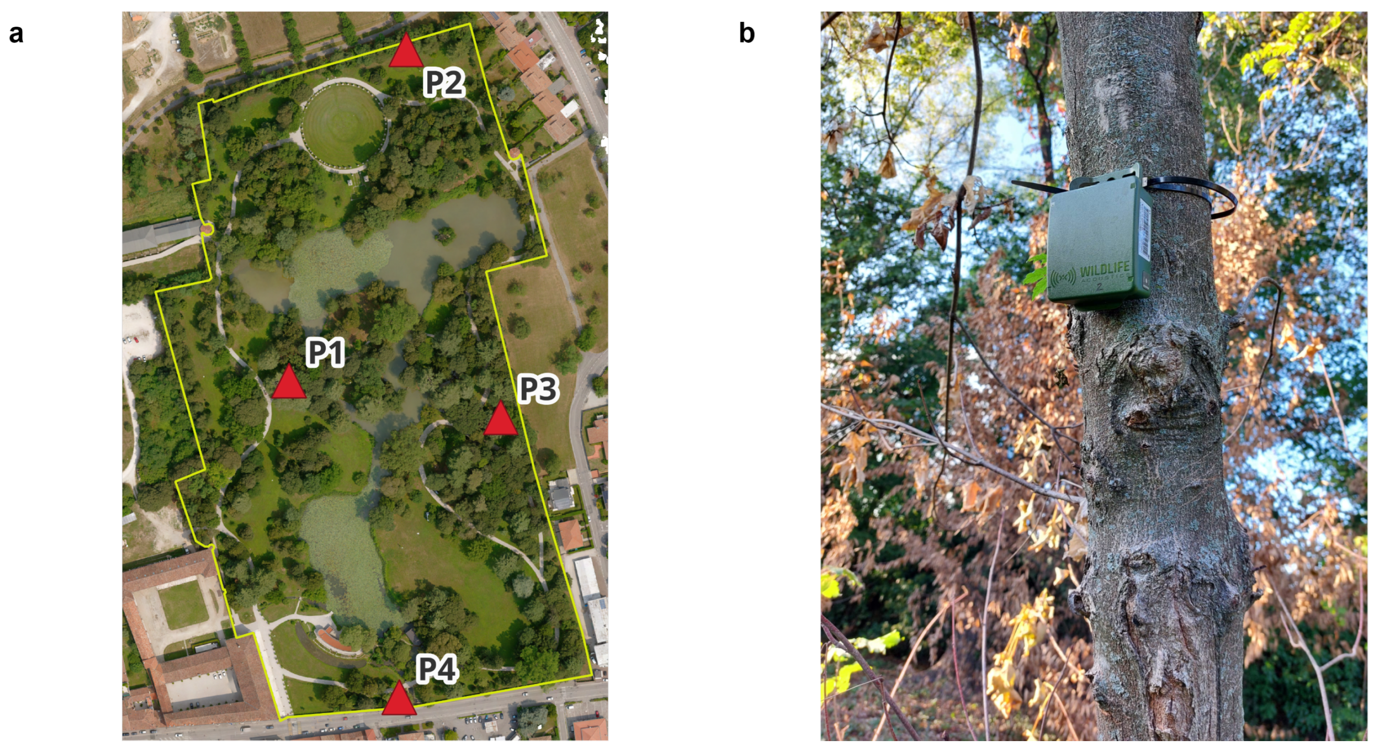 Land 14 01970 g001 Land 14 01970 g001