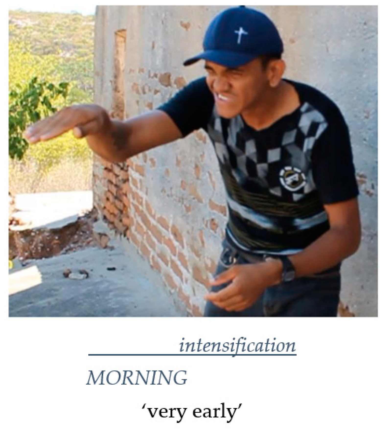 Languages 07 00098 g007