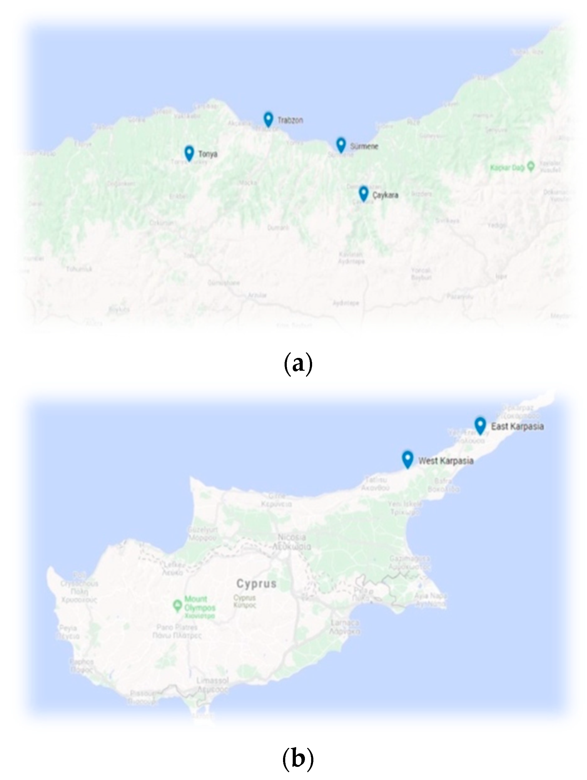 Languages | Free Full-Text | Language Contact and Borders among Pontic Greek  and Cypriot Greek in Karpasia, Cyprus: Yours Don&rsquo;t Match with Ours