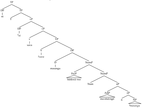 Languages 08 00150 i006 Languages 08 00150 i006