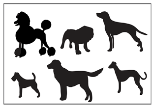 Languages 09 00165 i013