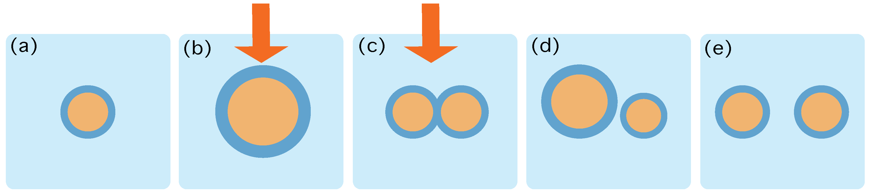 Life Free Full Text Thermodynamics Of Duplication - 