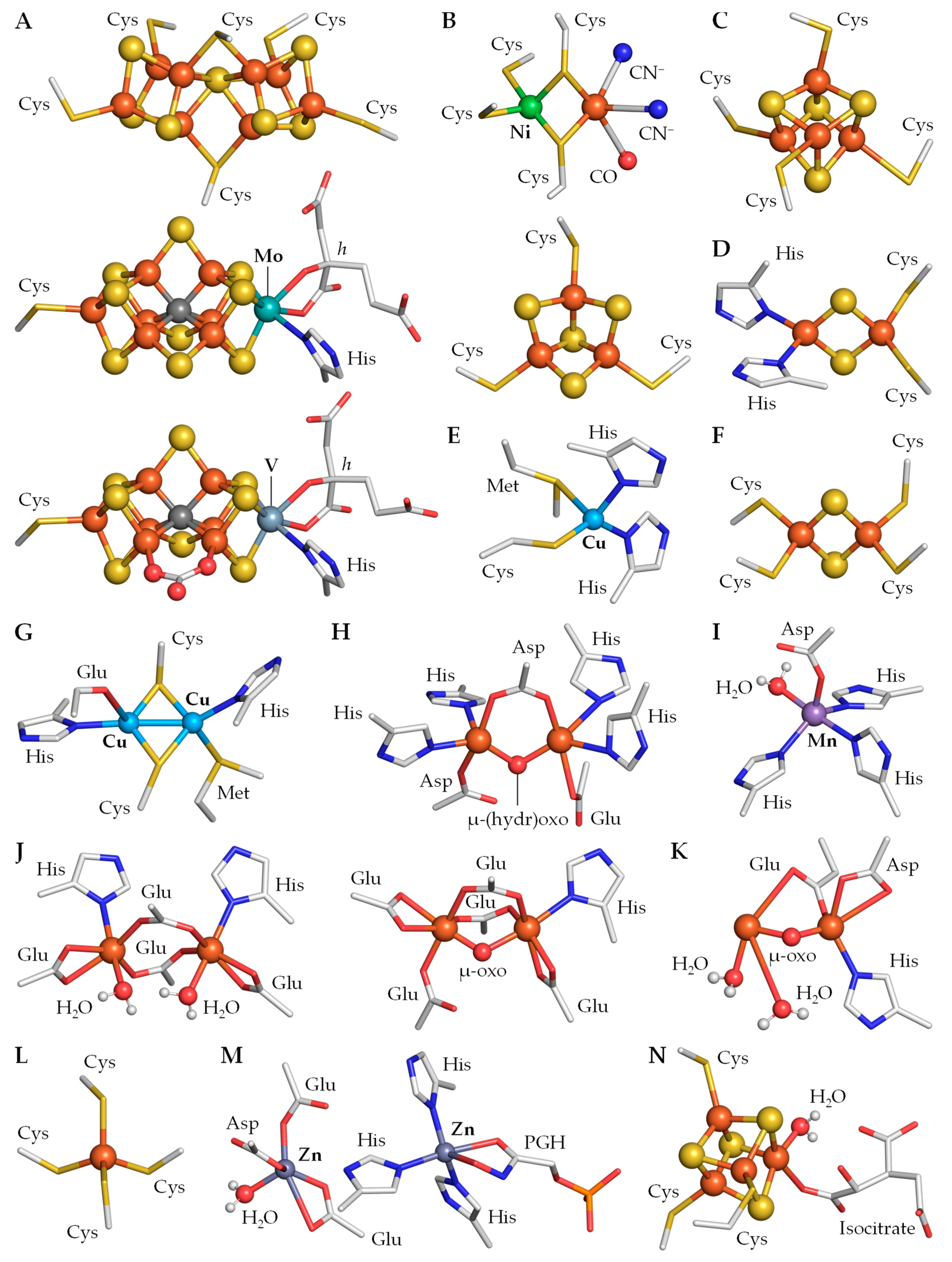 Life 09 00032 g002 Life 09 00032 g002