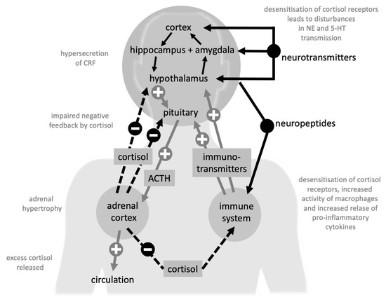 Life | Free Full-Text | State-of-the-Art: Inflammatory and Metabolic  Markers in Mood Disorders