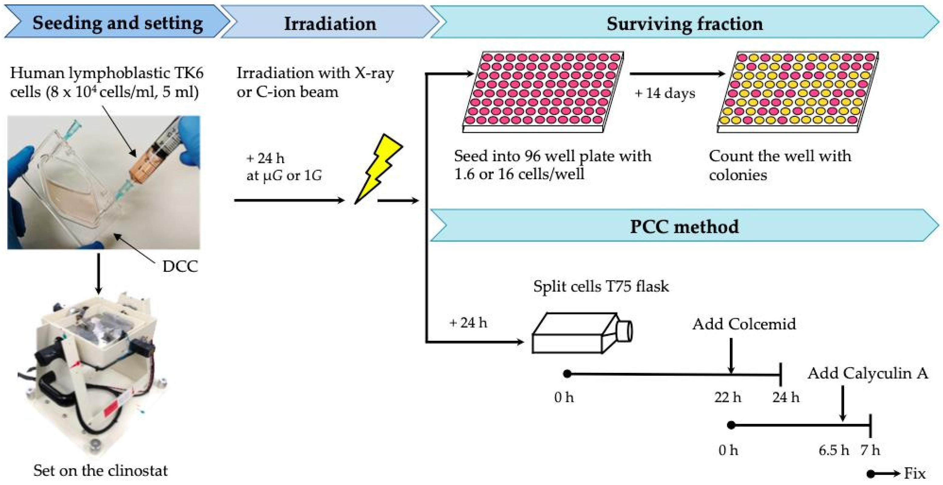 Life 10 00187 g001 Life 10 00187 g001