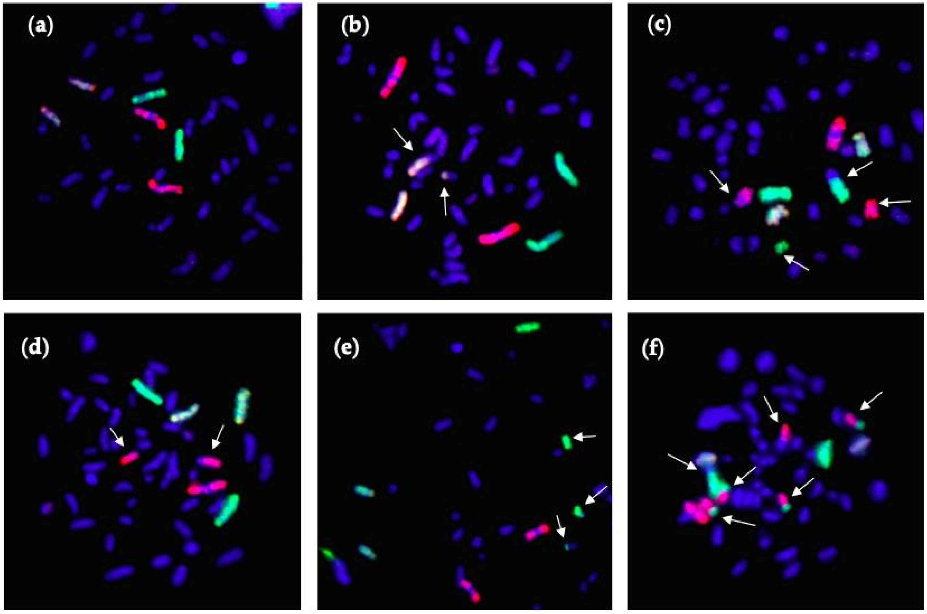 Life 10 00187 g003 Life 10 00187 g003