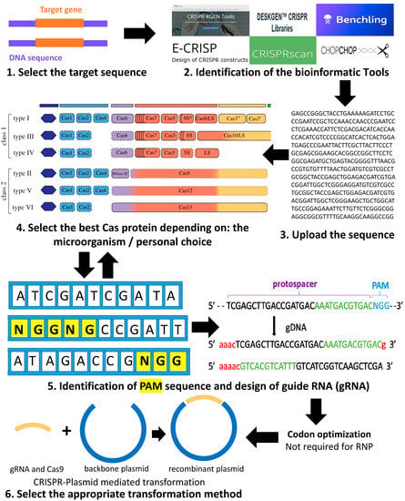 Life Free Full Text Genome Editing By Crispr Cas A Game Change In The Genetic Manipulation Of Chlamydomonas Html