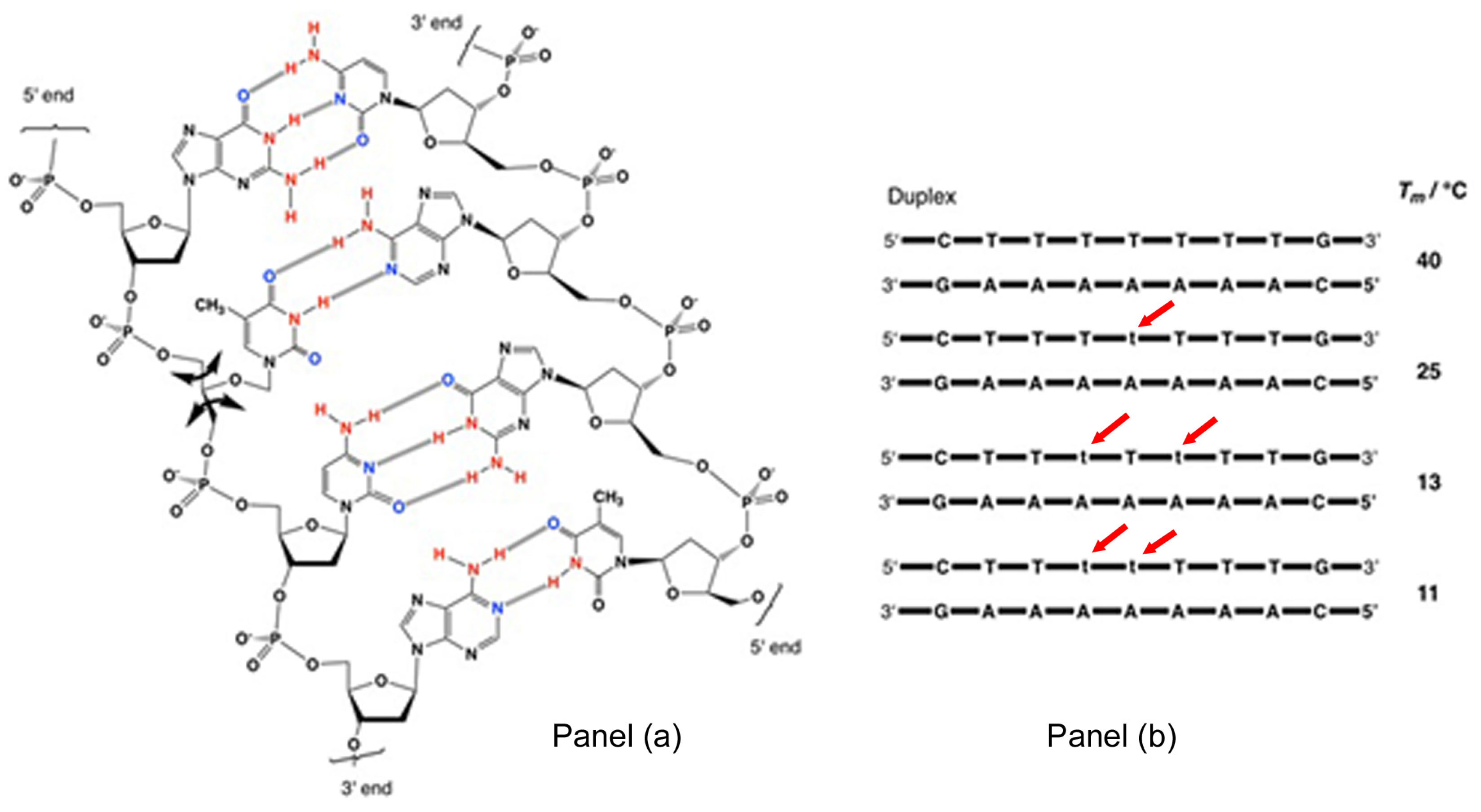 Life Free Full Text De Novo Nucleic Acids A Review Of Synthetic Alternatives To Dna And Rna That Could Act As Bio Information Storage Molecules Html