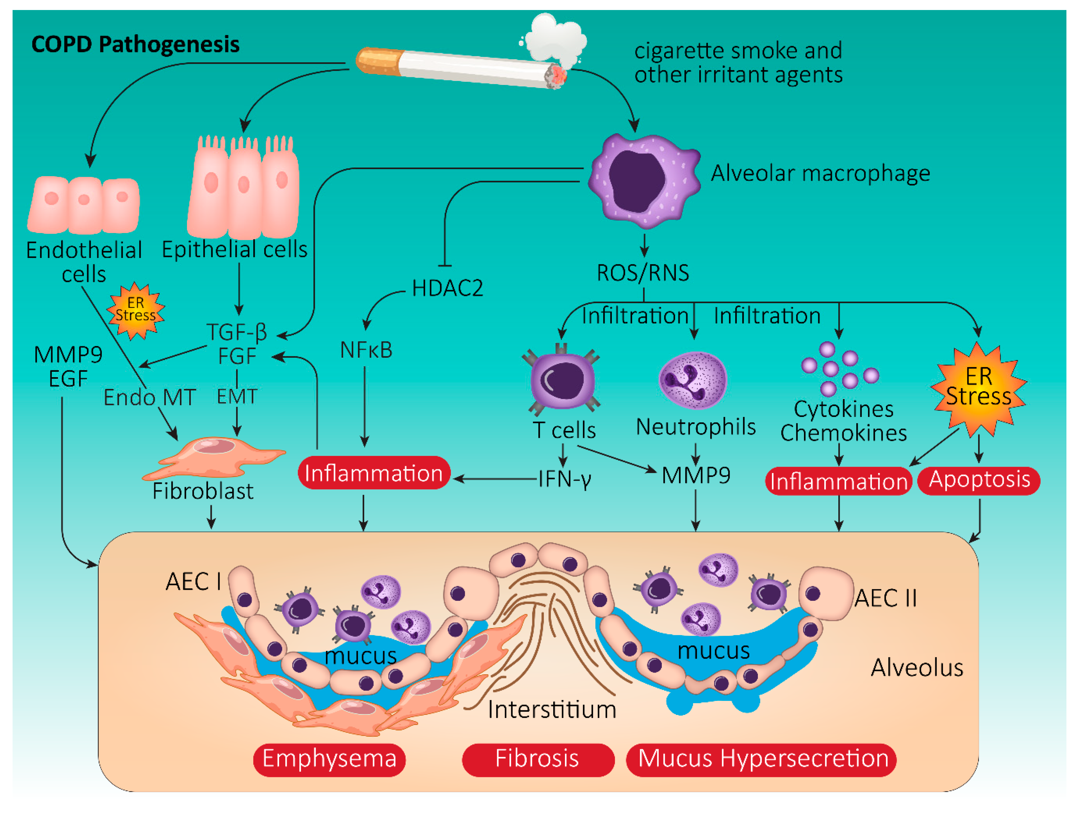 is copd expected to end in death