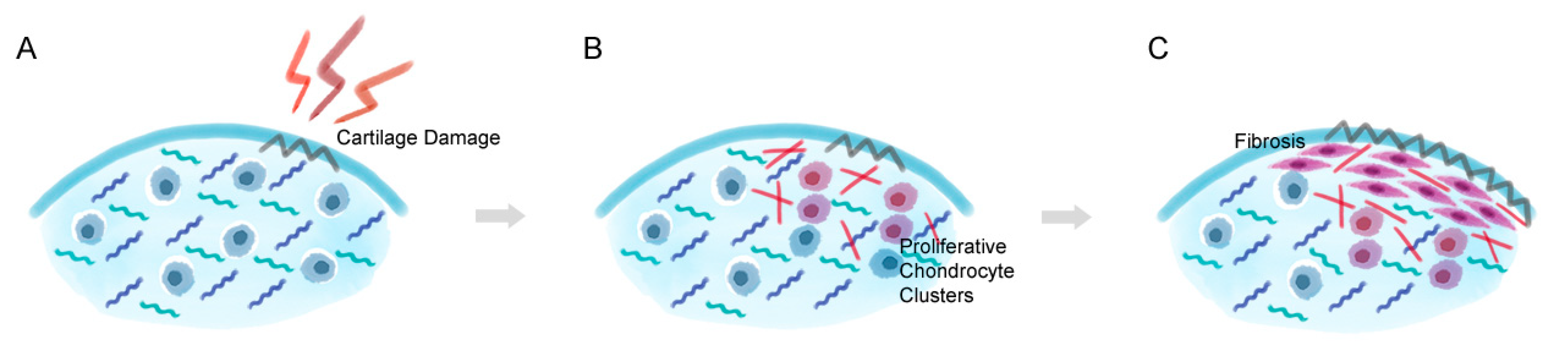 Life 11 00003 g002 Life 11 00003 g002