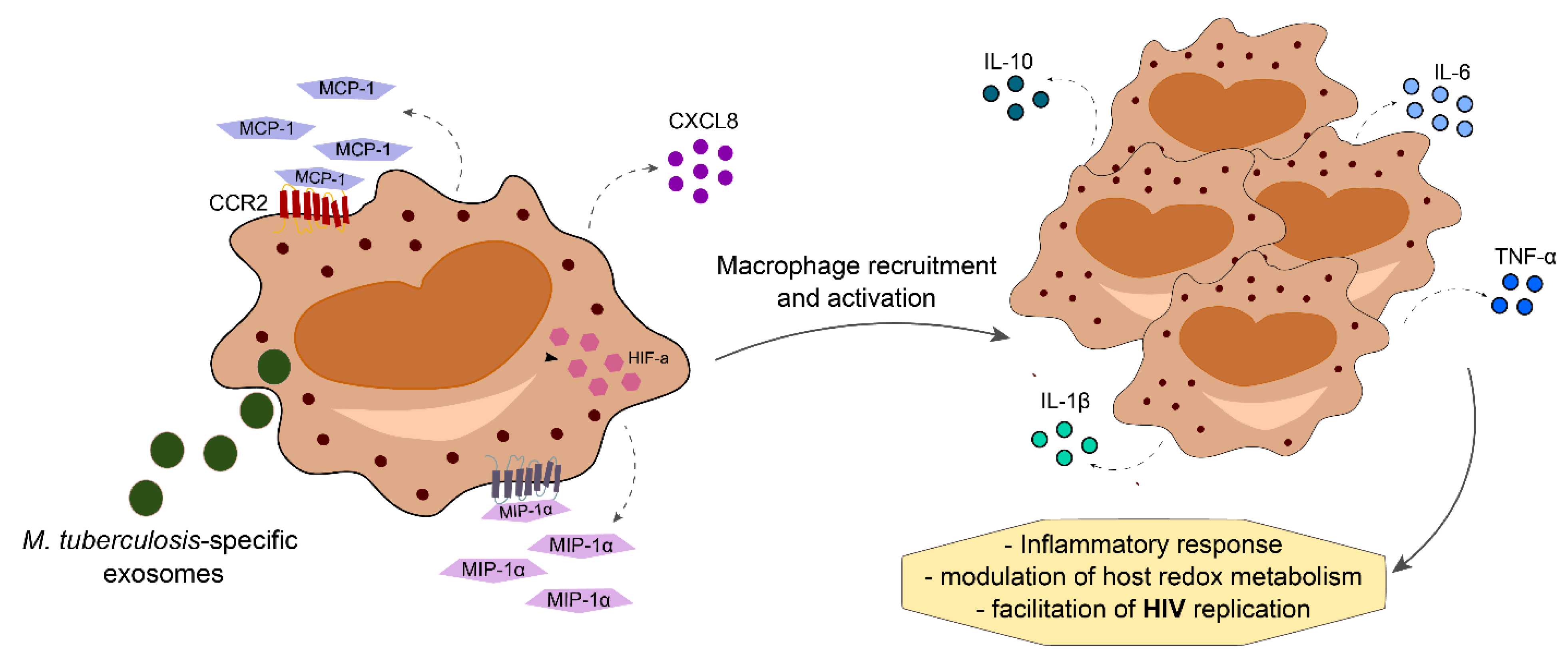 Life 11 00065 g003 Life 11 00065 g003
