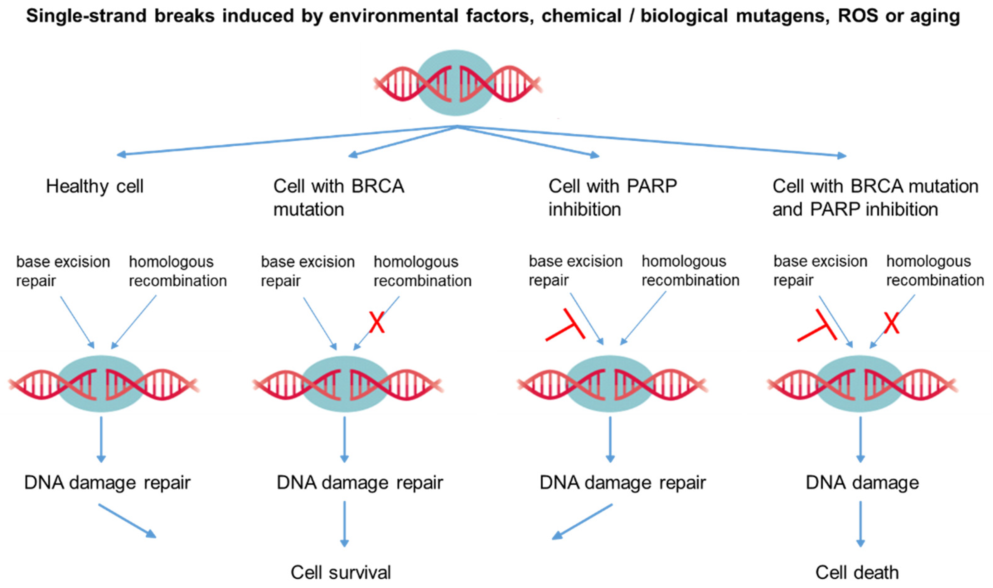 Life 11 00091 g003 Life 11 00091 g003