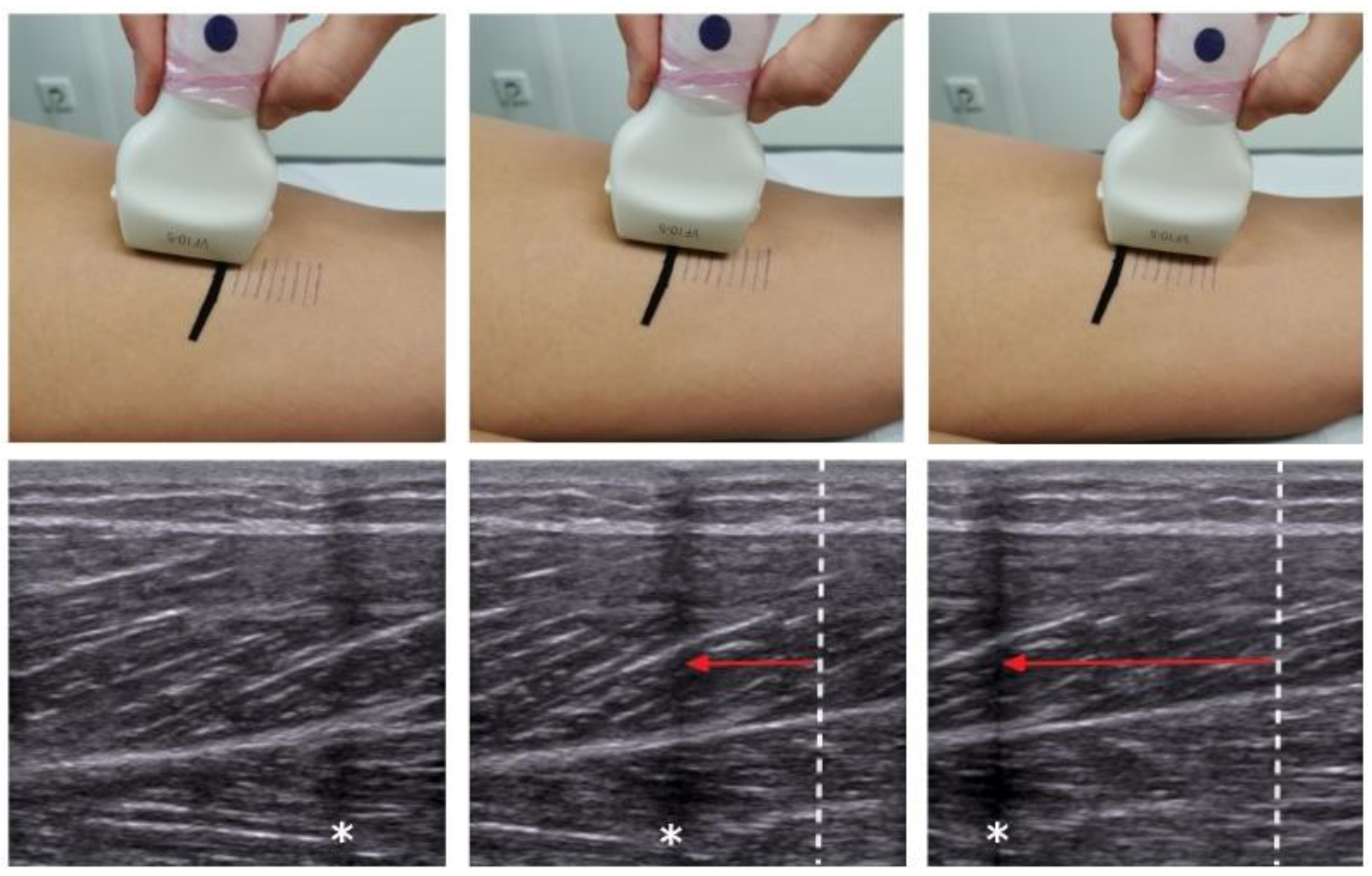 Life 11 00104 g001 Life 11 00104 g001