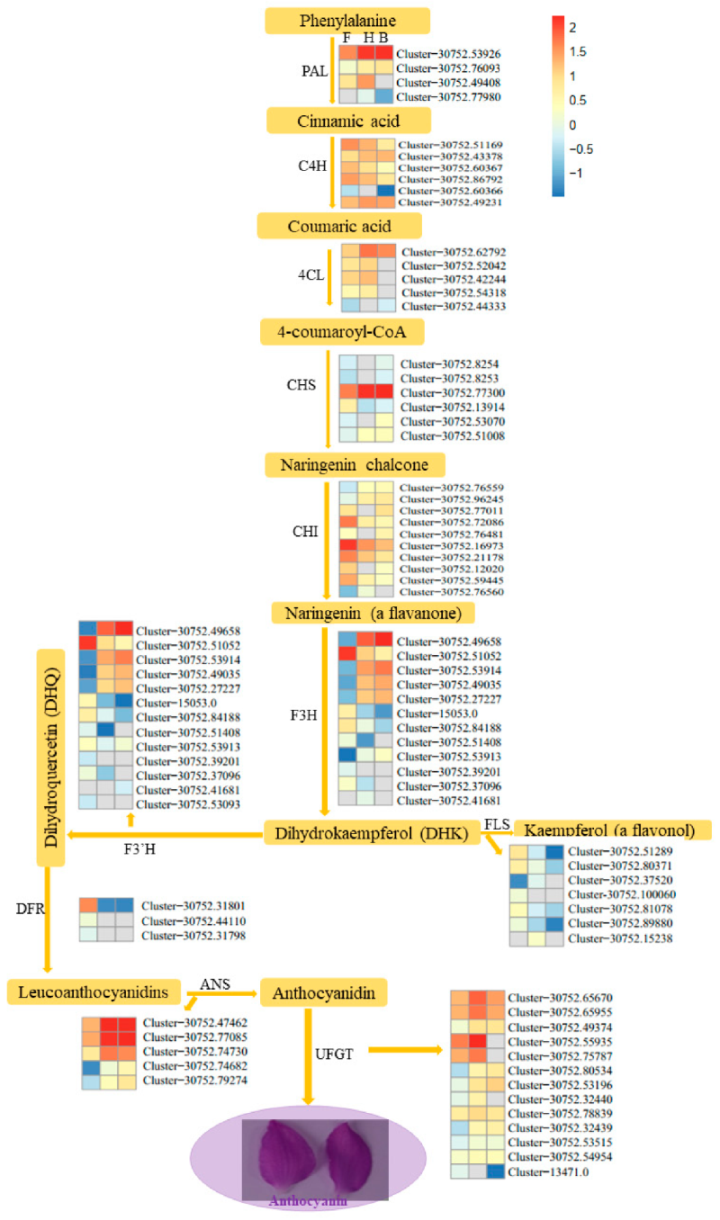 Life 11 00113 g005 Life 11 00113 g005
