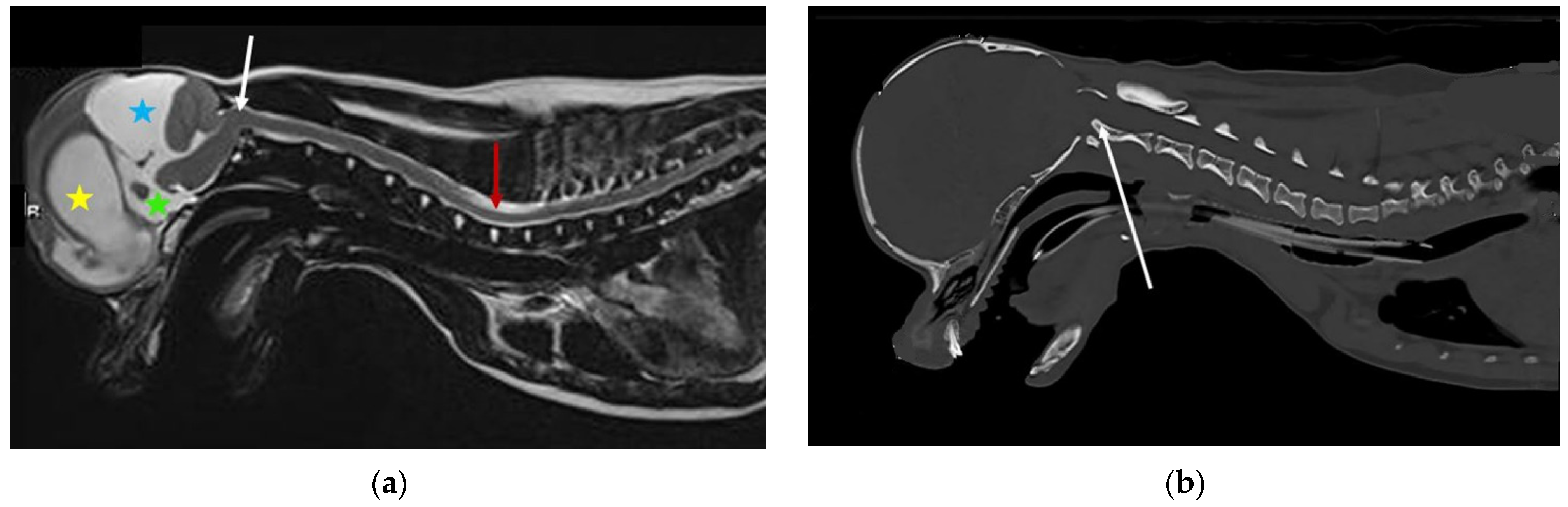 Life 11 00139 g004 Life 11 00139 g004