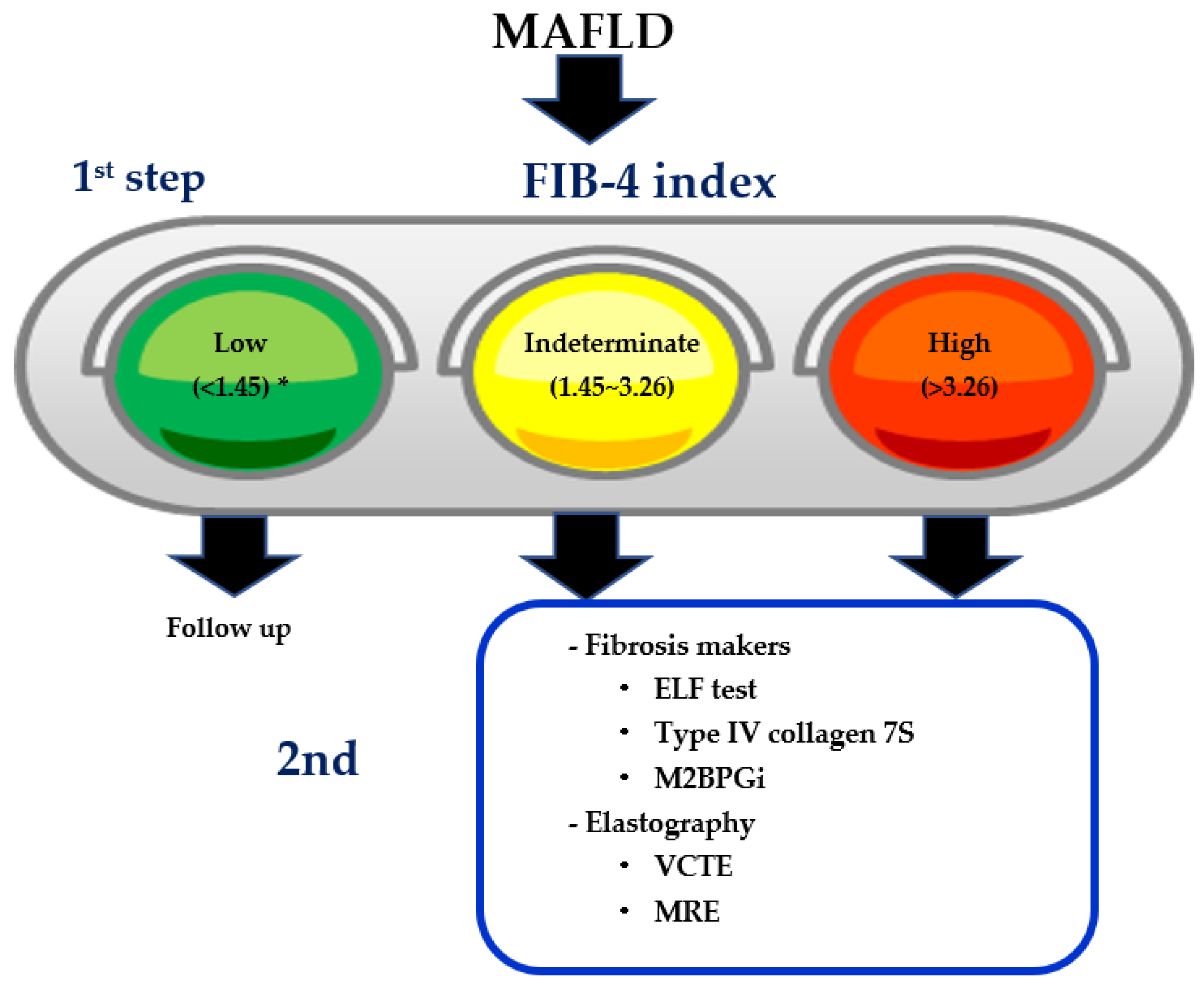 Life | Free Full-Text | FIB-4 First in the Diagnostic Algorithm of  Metabolic-Dysfunction-Associated Fatty Liver Disease in the Era of the  Global Metabodemic