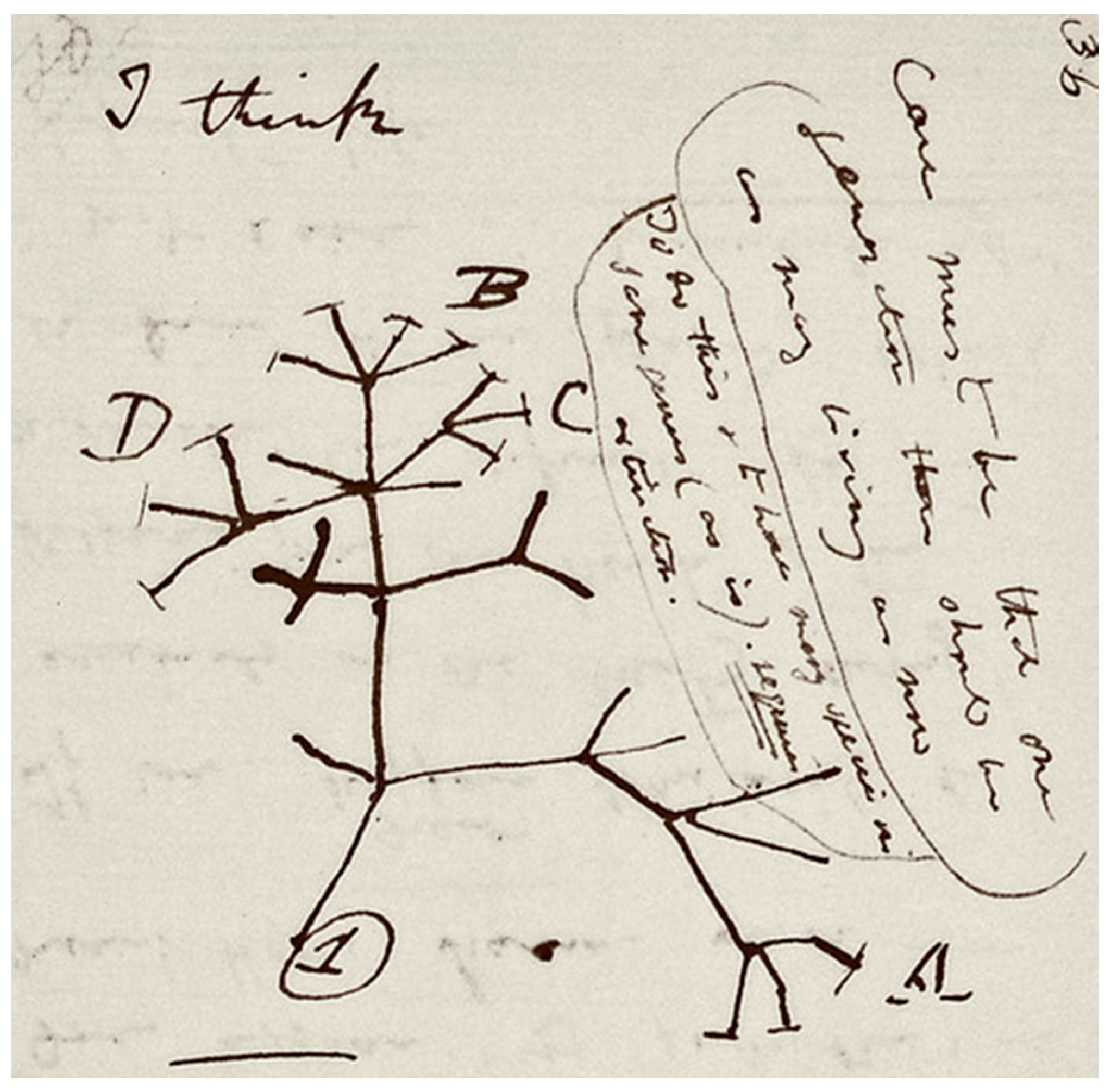 Life 11 00154 g001 Life 11 00154 g001