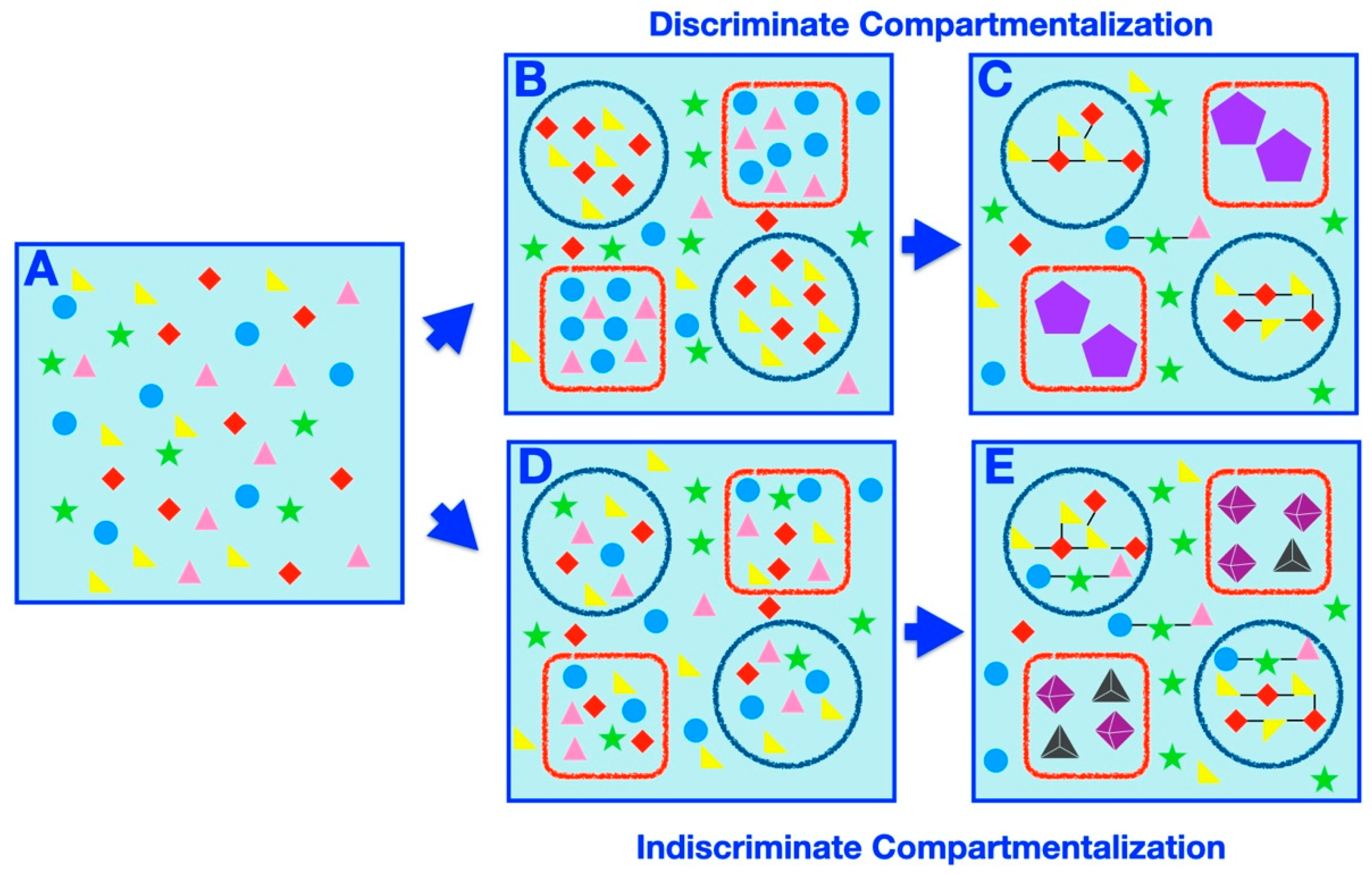 Life 11 00154 g003 Life 11 00154 g003