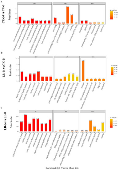 Life Free Full Text Proteomic Insight Into The Symbiotic Relationship Of Pinus Massoniana Lamb And Suillus Luteus Towards Developing Al Stress Resistance Html