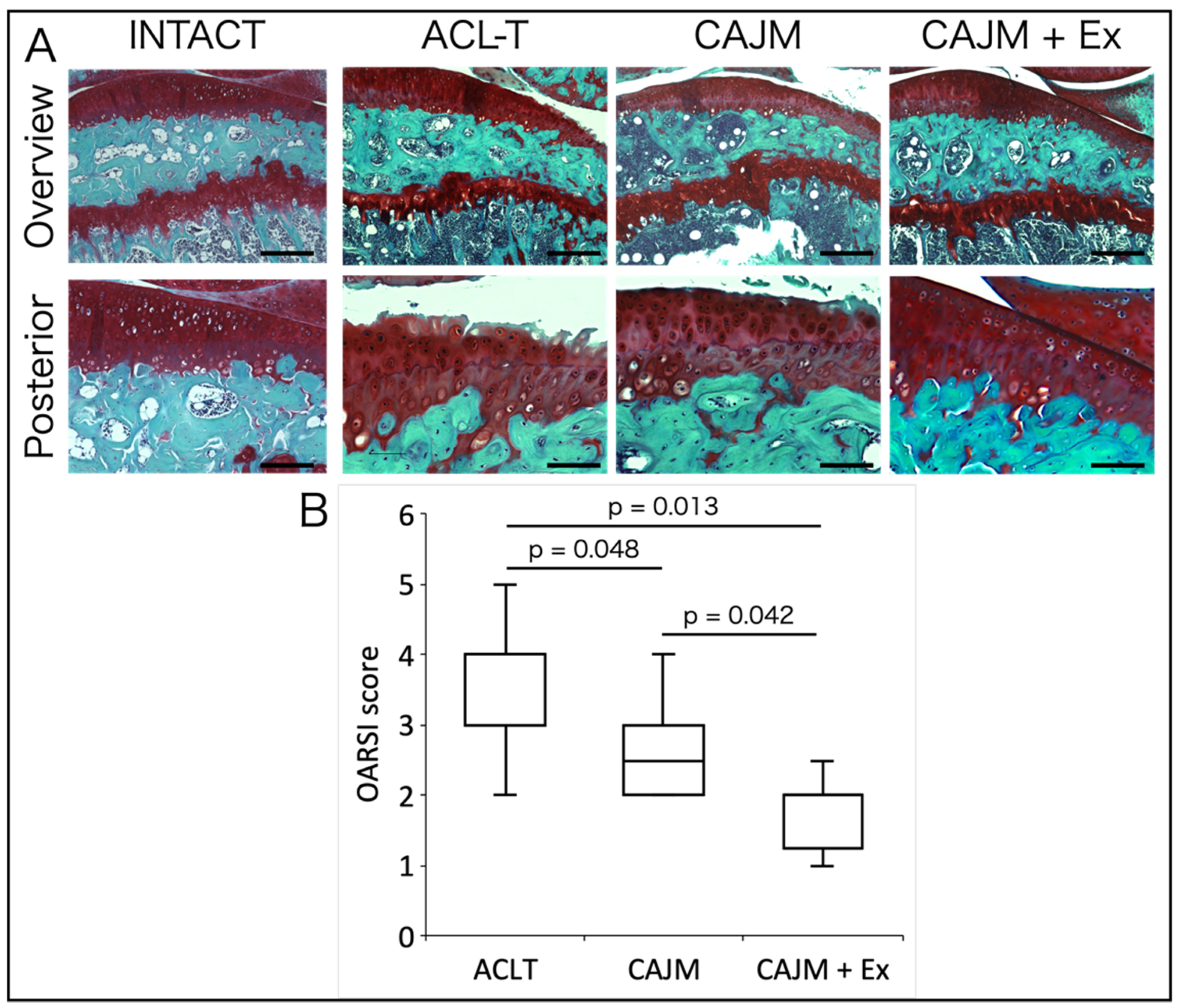 Life 11 00303 g003 Life 11 00303 g003