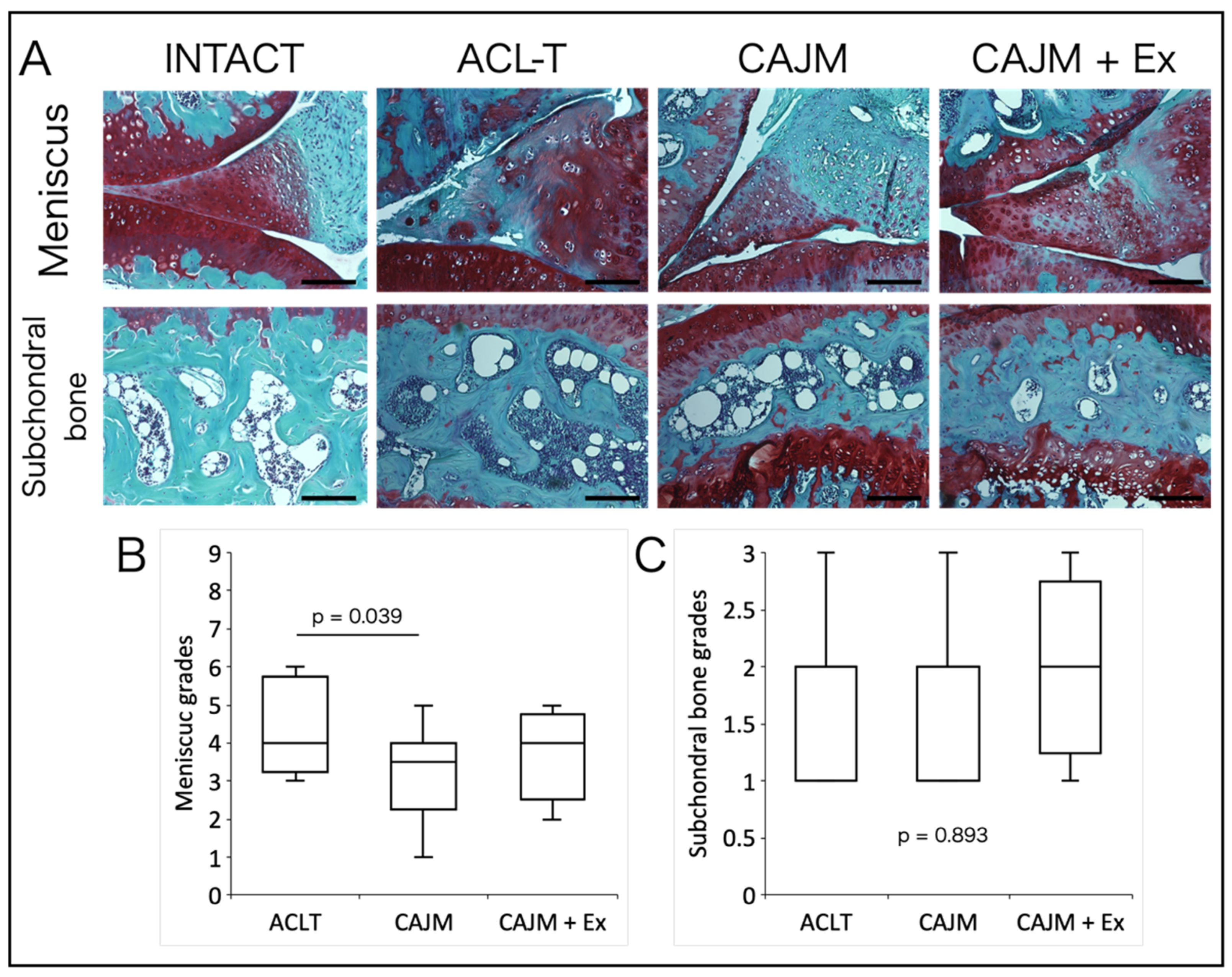 Life 11 00303 g004 Life 11 00303 g004